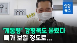 [영상] 원숭이도 나무에서 떨어져…개에 손 물린 개통령 강형욱
