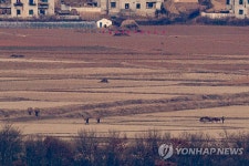 분주히 작업 중인 북한주민들
