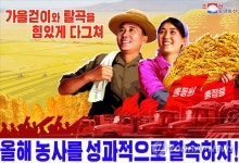알곡 정보당 1t씩 더 생산하자…북한, 식량증산 결사전