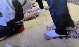 건조 오징어 운동화 발로 밟아 작업 영상 공개…누리꾼 논란