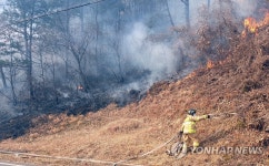 함양 휴천면 야산·양산 봉화산·진주 대나무밭에서 잇따라 화재(종합)