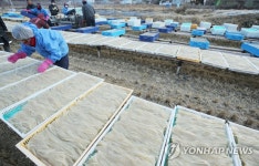 추위가 만드는 한천