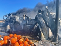 통영 굴 수산물 가공공장서 불