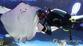 새해 맞아 깨끗하게