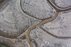 눈과 논이 만들어낸 겨울 풍경