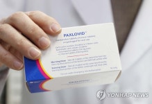 대구 지정약국에도 팍스로비드 도착