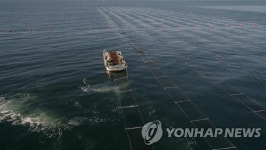 어촌뉴딜 300 경기 첫 결실 화성 백미항 사업 내일 준공식