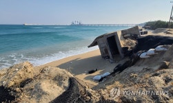 무너지고 쓰러지고 강릉 하시동사구 해안침식 심각