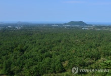 제주 곶자왈 60％가 사유지…환경보전기여금 통해 매입해야