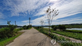 파주시, 공릉천변 1㎞에 가로숲길 조성 추진
