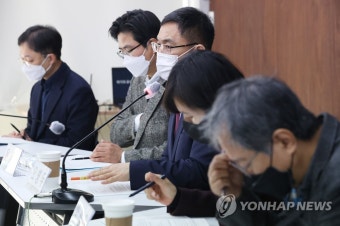 토론회 '위기의 공수처 1년, 분석과 제언'