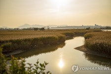 하늘의 별따기 공립캠핑장 예약…웃돈 받고 불법양도 눈살