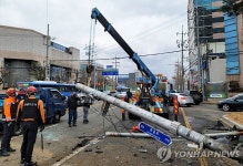 교통섬 고속 돌진 후 신호등·차량 들이받아