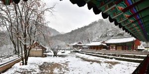 [순창소식] 강천산군립공원 설날 연휴 무료 개방