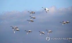 경포호수에서 쉬고 갈까?