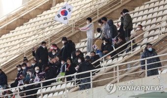 축구대표팀 응원하는 레바논 교민들