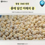 [카드뉴스] 청정 DMZ 연천의 희망, 콩 심은데 꿈 난다!