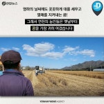 [카드뉴스] 청정 DMZ 연천의 희망, 콩 심은데 꿈 난다!