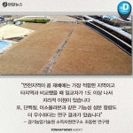 [카드뉴스] 청정 DMZ 연천의 희망, 콩 심은데 꿈 난다!