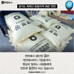 [카드뉴스] 청정 DMZ 연천의 희망, 콩 심은데 꿈 난다!