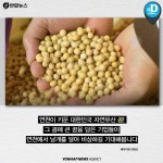 [카드뉴스] 청정 DMZ 연천의 희망, 콩 심은데 꿈 난다!