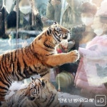 [여행honey] 새해 복 많이 받으세요~ 어흥!