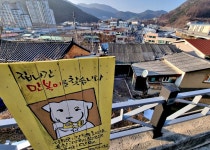 과거 풍요의 상징 만복이는 탄광촌으로 돌아올까?