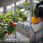 [여행honey] 겨울은 이곳에서 겨울 체험마을 6곳