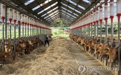 한우 공급과잉에 2년 내 가격 급락할 수도…수급 조절해야