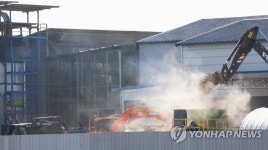 평택 산란계 농장 고병원성 AI 의심사례 확인