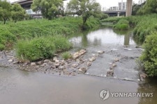 서울시, 35개 하천 시설물 전수점검…제방·산책로 등 정비