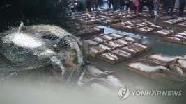 대형 거래처 많다…37억 상당 활어 유통 사기 주범 징역 13년