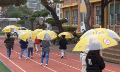 경기도, 초등학생 2만5천명에 안전우산 제공