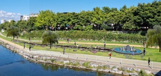 대구 신천 상동교 둔치에 낙동강물 흐르는 실개천 조성한다