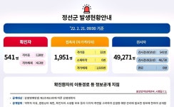 정선군, 재택치료 상담센터에 행정·의료·물품 전담반 구성