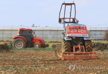 양파 가격 폭락에 밭 갈아엎은 제주 농민들