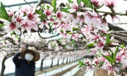 봄이 오는 소리