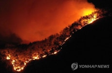 합천 산불 계속, 축구장 280배 크기 타…밤새 확산 저지(종합)