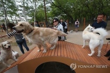 김해시 첫 반려동물 테마공원 만든다…내년 말 개장