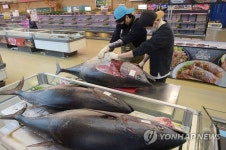 참치데이 맞아 참치 해체 시연회