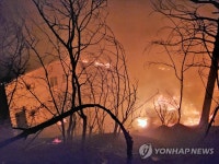 강원 경북 경계 7번 국도변 산불