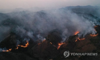 삼척·강릉 산불 축구장 210개 잿더미…오전 중 주불진화 목표(종합)