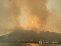 울진군 대나리항까지 번진 산불