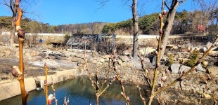 [동해안 산불] 비상 소화장치가 있어 그나마 불길 막아