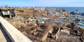 산불 피해지 너머로 보이는 논골담길