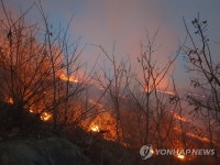 울산 울주군 언양읍 산불