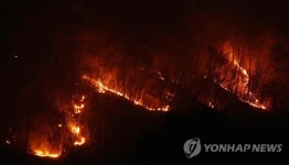 경북 울진군 금강송면 금강소나무숲 인근 산불