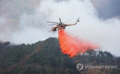 [속보] 산림청장 강릉·동해 산불 정오께 주불 진화 예상