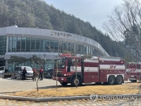 울진 금강송 군락지 보호
