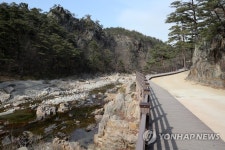 인적 끊긴 불영사계곡